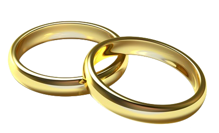 silvuple-content-image